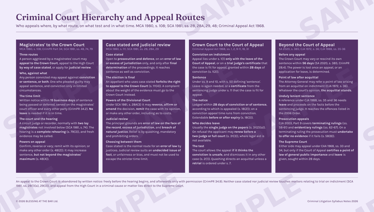 Criminal Litigation Syllabus Notes 2026 visual aid — the criminal court hierarchy and appeal routes